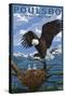 Poulsbo, Washington - Eagle Perched with Chicks-Lantern Press-Stretched Canvas