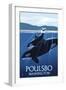 Poulsbo, Washington - Orca and Calf-Lantern Press-Framed Art Print