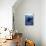 Poulsbo, Washington - Orca and Calf-Lantern Press-Stretched Canvas displayed on a wall