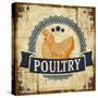 Poultry 1-null-Stretched Canvas