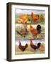 Poultry, 2009-Alex Williams-Framed Giclee Print