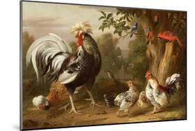 Poultry and Other Birds in the Garden of a Mansion-Jacob Bogdany-Mounted Giclee Print