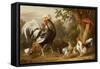 Poultry and Other Birds in the Garden of a Mansion-Jacob Bogdany-Framed Stretched Canvas