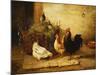 Poultry and Pigeons in an Interior, 1881-Walter Hunt-Mounted Giclee Print