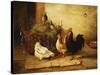 Poultry and Pigeons in an Interior, 1881-Walter Hunt-Stretched Canvas