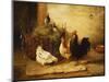 Poultry and Pigeons in an Interior-Walter Hunt-Mounted Giclee Print