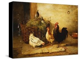 Poultry and Pigeons in an Interior-Walter Hunt-Stretched Canvas