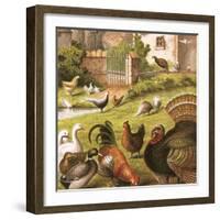 Poultry at a Farm-English-Framed Giclee Print