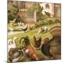 Poultry at a Farm-English-Mounted Giclee Print