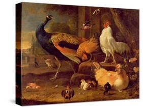 Poultry, c.1670-Melchior de Hondecoeter-Stretched Canvas