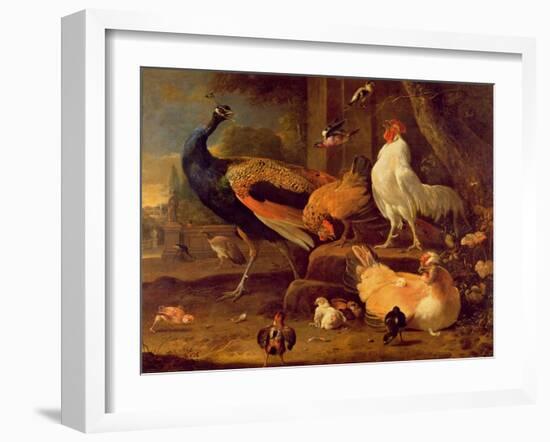 Poultry, c.1670-Melchior de Hondecoeter-Framed Giclee Print