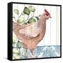 Poultry Farm 1-Kimberly Allen-Framed Stretched Canvas