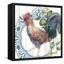 Poultry Farm 2-Kimberly Allen-Framed Stretched Canvas