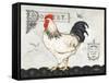 Poultry Farm I-Gwendolyn Babbitt-Framed Stretched Canvas