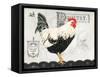 Poultry Farm II-Gwendolyn Babbitt-Framed Stretched Canvas