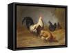 Poultry Feeding-Arthur Fitzwilliam Tait-Framed Stretched Canvas