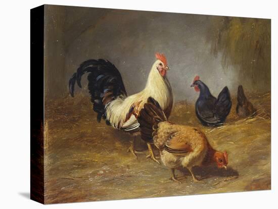 Poultry Feeding-Arthur Fitzwilliam Tait-Stretched Canvas