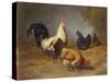 Poultry Feeding-Arthur Fitzwilliam Tait-Stretched Canvas