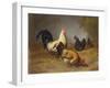 Poultry Feeding-Arthur Fitzwilliam Tait-Framed Giclee Print