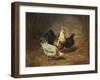 Poultry Feeding-Arthur Fitzwilliam Tait-Framed Giclee Print