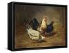 Poultry Feeding-Arthur Fitzwilliam Tait-Framed Stretched Canvas