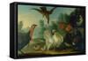 Poultry in a Landscape-Marmaduke Cradock-Framed Stretched Canvas