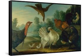 Poultry in a Landscape-Marmaduke Cradock-Framed Stretched Canvas