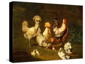 Poultry in a Landscape-Johann Wenzel Peter-Stretched Canvas