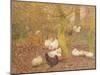 Poultry in a Wood, C.1890-Emile Claus-Mounted Giclee Print