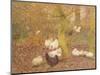 Poultry in a Wood, C.1890-Emile Claus-Mounted Giclee Print