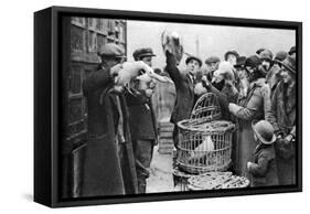 Poultry Merchants, Caledonian Market, London, 1926-1927-null-Framed Stretched Canvas