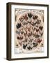 Poultry of the World Poster, 1868-null-Framed Giclee Print