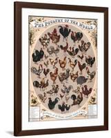 Poultry of the World Poster, 1868-null-Framed Giclee Print