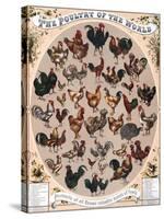 Poultry of the World Poster, 1868-null-Stretched Canvas
