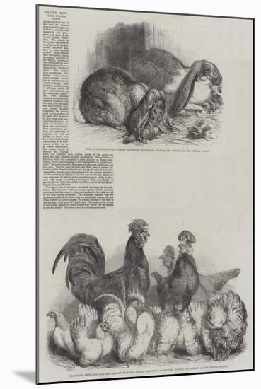 Poultry Show at the Crystal Palace-Harrison William Weir-Mounted Giclee Print