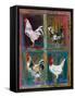 Poultry Show-Alex Williams-Framed Stretched Canvas