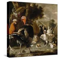 Poultry Yard, c.1668-Melchior De Hondecoeter-Stretched Canvas