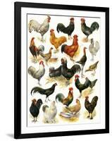 Poultry-English School-Framed Giclee Print