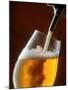 Pouring a Glass of Beer from the Tap-Jan-peter Westermann-Mounted Photographic Print