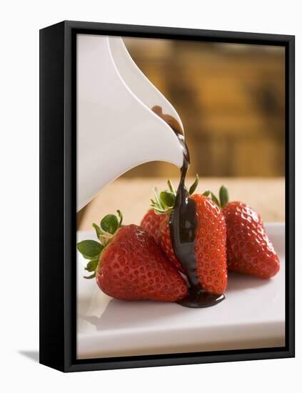 Pouring Chocolate Sauce over Fresh Strawberries-Andrew Pini-Framed Stretched Canvas