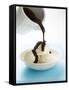 Pouring Chocolate Sauce over Vanilla Ice Cream-null-Framed Stretched Canvas