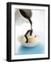 Pouring Chocolate Sauce over Vanilla Ice Cream-null-Framed Photographic Print