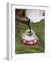 Pouring Coffee During a Coffee Ceremony, Ethiopia, Africa-Gavin Hellier-Framed Photographic Print