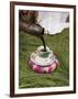 Pouring Coffee During a Coffee Ceremony, Ethiopia, Africa-Gavin Hellier-Framed Photographic Print