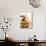 Pouring Maple Syrup over Waffles with Butter and Berries-null-Mounted Photographic Print displayed on a wall