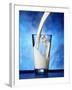 Pouring Milk into a Glass-Miguel G^ Saavedra-Framed Photographic Print