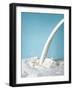 Pouring Milk-Klaus Arras-Framed Photographic Print