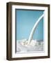 Pouring Milk-Klaus Arras-Framed Photographic Print