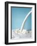 Pouring Milk-Klaus Arras-Framed Photographic Print