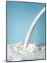 Pouring Milk-Klaus Arras-Mounted Photographic Print